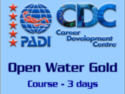 PADI Open Water Course Gold