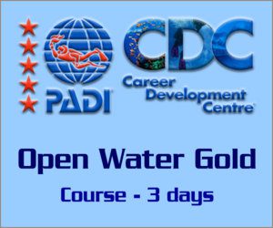 PADI Open Water Course Gold