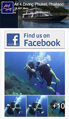 Plongée sous-marine Phuket avec All4Diving - Facebook badge