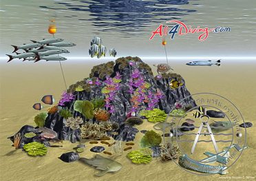 Plan du site de plongée Anemone Reef Phuket - 3D