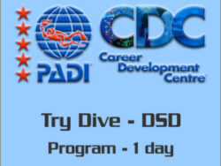 PADI DSD Try diving program