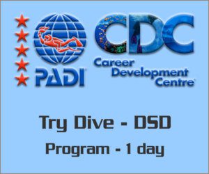 PADI DSD Try diving program