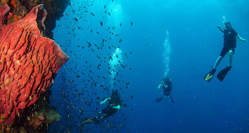 Plongée aux îles Phi Phi - Ko Bida Nok - Plongeurs autonomes