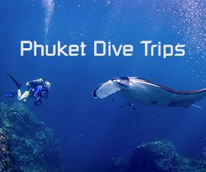 Phuket Dive Trips product