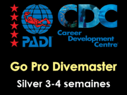 PADI Pro Thaïlande - Cours Divemaster Phuket - Pack Silver