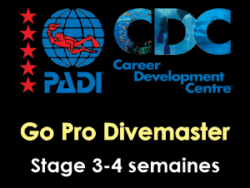 PADI Pro Thaïlande - Cours Divemaster Phuket - stage de 3-4 semaines