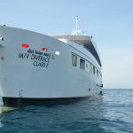MV DiveRace – Croisière plongée aux îles Similan en Thaïlande et Mergui en Birmanie avec All4Diving Phuket (4)
