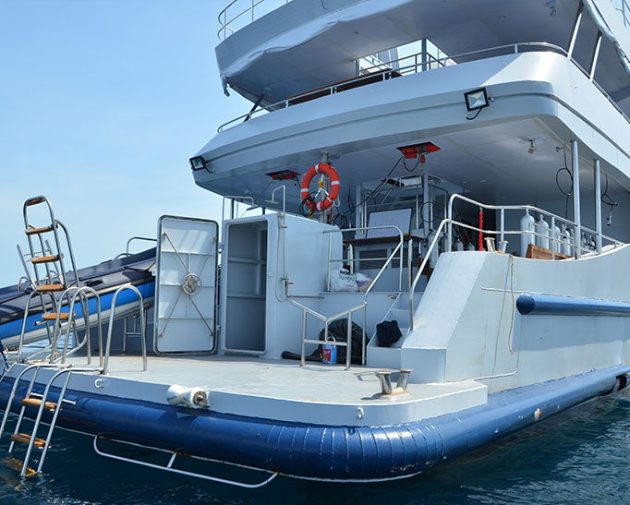MV DiveRace – Croisière plongées aux îles Similan en Thaïlande et Mergui en Birmanie avec All4Diving Phuket (44)