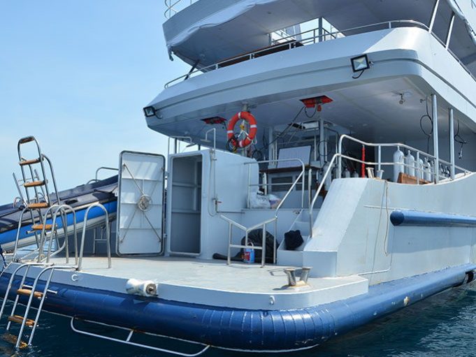 MV DiveRace – Croisière plongées aux îles Similan en Thaïlande et Mergui en Birmanie avec All4Diving Phuket (44)