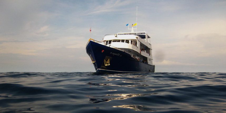 MV Manta Queen 3 - Croisière plongée économique aux îles Similan Thaïlande avec All4Diving