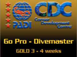 PADI Go Pro - Divemaster Gold course