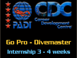 PADI Go Pro Divemaster Internship program