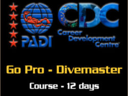 PADI Go Pro - Divemaster short course