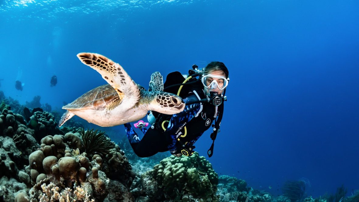 Plongée à Phuket - plongeur rencontre une tortue de mer 1180x664